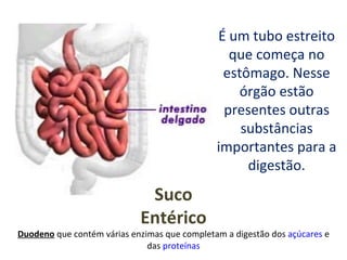 É um tubo estreito
                                                que começa no
                                               estômago. Nesse
                                                  órgão estão
                                               presentes outras
                                                  substâncias
                                              importantes para a
                                                   digestão.
                             Suco
                            Entérico
Duodeno que contém várias enzimas que completam a digestão dos açúcares e
                              das proteínas
 