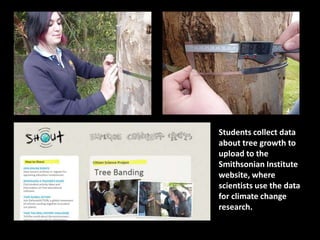 Students collect data
about tree growth to
upload to the
Smithsonian Institute
website, where
scientists use the data
for climate change
research.
 