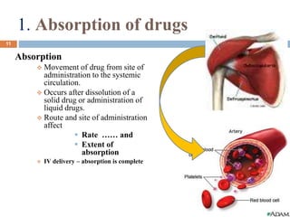 1. Absorption of drugs
Absorption
 Movement of drug from site of
administration to the systemic
circulation.
 Occurs after dissolution of a
solid drug or administration of
liquid drugs.
 Route and site of administration
affect
 Rate …… and
 Extent of
absorption
 IV delivery – absorption is complete
11/30/2016
11
 