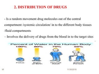 2. DISTRIBUTION OF DRUGS
11/30/201617
- Is a random movement drug molecules out of the central
compartment /systemic circulation/ in to the different body tissues
/fluid compartments
– Involves the delivery of drugs from the blood in to the target sites
 