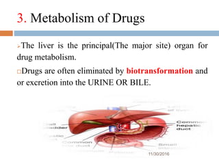 3. Metabolism of Drugs
11/30/2016
23
The liver is the principal(The major site) organ for
drug metabolism.
Drugs are often eliminated by biotransformation and
or excretion into the URINE OR BILE.
 