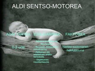 ALDI SENTSO-MOTOREA 
ADIN TARTEA EZAUGARRIAK FAKTOREA 
0-2 urte 
Adimena praktikoa da. 
Hiru lorpen: 
→Sentimen desberdinen 
koordinazioa. 
→Helburuen eta 
bitartekoen arteko 
bereizketa. 
→ Objektuaren 
iraunkortasuna. 
Nerbio-sistemaren 
heldutasuna 
 
