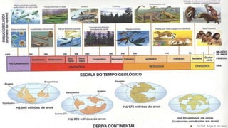 

Por Prof. Roger A. da Silva

 