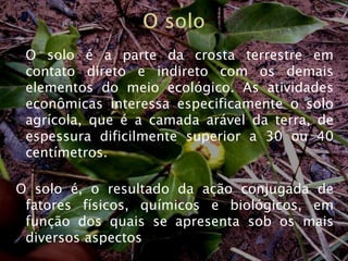 O soloO solo é a parte da crosta terrestre em contato direto e indireto com os demais elementos do meio ecológico. As atividades econômicas interessa especificamente o solo agrícola, que é a camada arável da terra, de espessura dificilmente superior a 30 ou 40 centímetros.O solo é, o resultado da ação conjugada de fatores físicos, químicos e biológicos, em função dos quais se apresenta sob os mais diversos aspectos