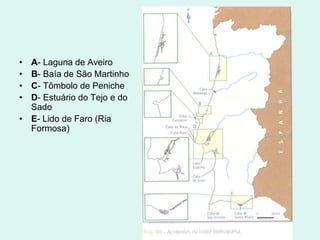 • A- Laguna de Aveiro
• B- Baía de São Martinho
• C- Tômbolo de Peniche
• D- Estuário do Tejo e do
Sado
• E- Lido de Faro (Ria
Formosa)
 