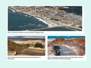 A dinâmica do litoral