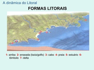 FORMAS LITORAIS
1- arriba 2- enseada (baía/golfo) 3- cabo 4- praia 5- estuário 6-
tômbolo 7- delta
A dinâmica do Litoral
 