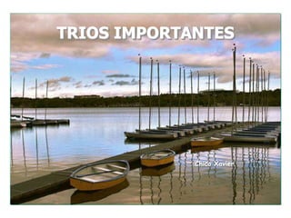TRIOS IMPORTANTES 
Chico Xavier 
 