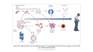 Autonomic Dysfunction Multi System Autonomic Dysfunction in Multiple System Atrophy and Parkinson's ...