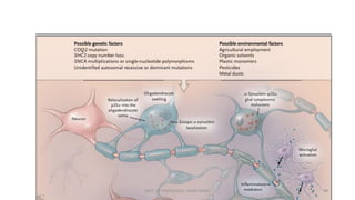Autonomic Dysfunction Multi System Autonomic Dysfunction in Multiple System Atrophy and Parkinson's ...