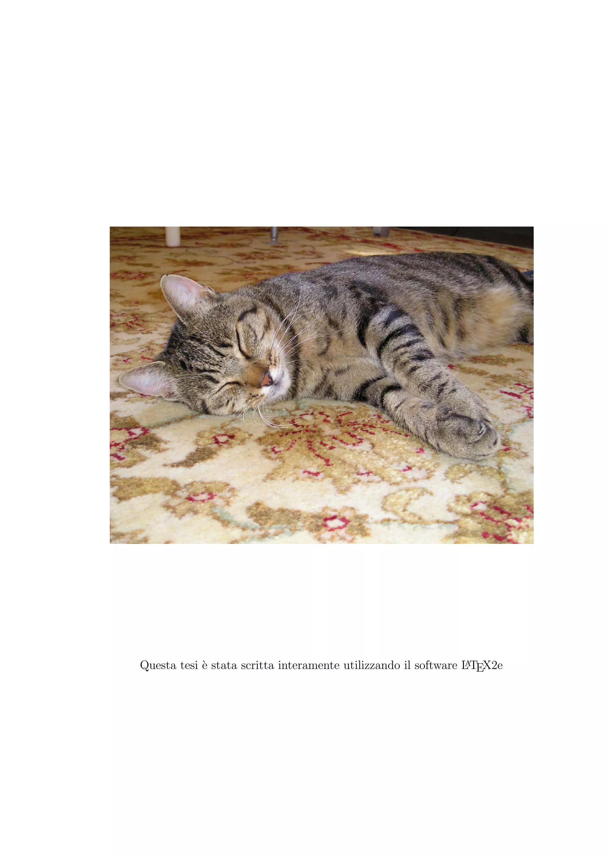 A
Questa tesi ` stata scritta interamente utilizzando il software L TEX2e
            e
 