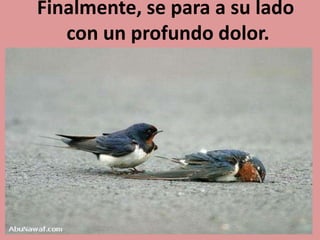 Finalmente, se para a su lado
con un profundo dolor.
 