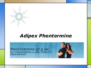 Adipex Phentermine
 