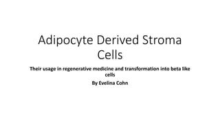 Adipocyte Derived Stroma
Cells
Their usage in regenerative medicine and transformation into beta like
cells
By Evelina Cohn
 