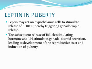 LEPTIN IN PUBERTY
 Leptin may act on hypothalamic cells to stimulate
release of LHRH, thereby triggering gonadotropin
release.
 The subsequent release of follicle stimulating
hormone and LH stimulates gonadal steroid secretion,
leading to development of the reproductive tract and
induction of puberty.
 