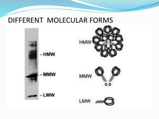 DIFFERENT MOLECULAR FORMS
 