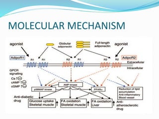 MOLECULAR MECHANISM
 