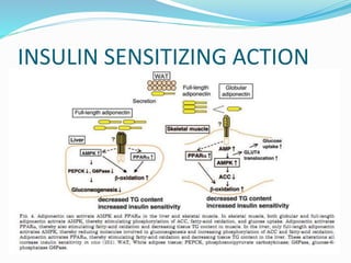 INSULIN SENSITIZING ACTION
 