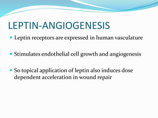 LEPTIN-ANGIOGENESIS
 Leptin receptors are expressed in human vasculature
 Stimulates endothelial cell growth and angiogenesis
 So topical application of leptin also induces dose
dependent acceleration in wound repair
 