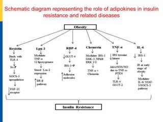 Adipokines in Insulin Resistance Current Updates.pptx