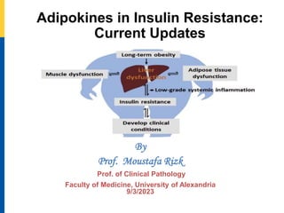 Adipokines in Insulin Resistance:
Current Updates
By
Prof. Moustafa Rizk
Prof. of Clinical Pathology
Faculty of Medicine, University of Alexandria
9/3/2023
 
