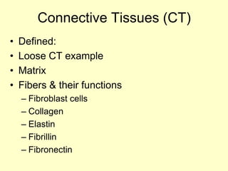 Connective Tissues (CT)
•   Defined:
•   Loose CT example
•   Matrix
•   Fibers & their functions
    – Fibroblast cells
    – Collagen
    – Elastin
    – Fibrillin
    – Fibronectin
 
