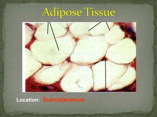 Location: Subcutaneous 
 