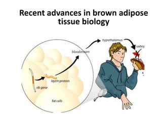Recent advances in brown adipose
tissue biology
 