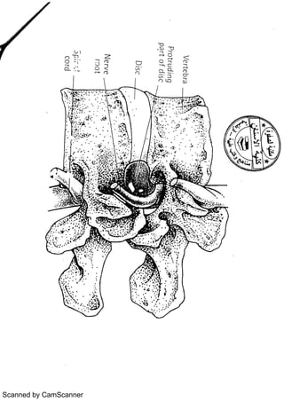 Scanned by CamScanner 
 