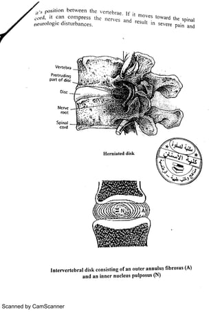 Scanned by CamScanner 
