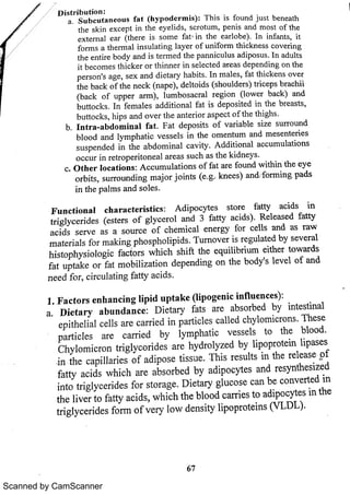 Scanned by CamScanner 
 