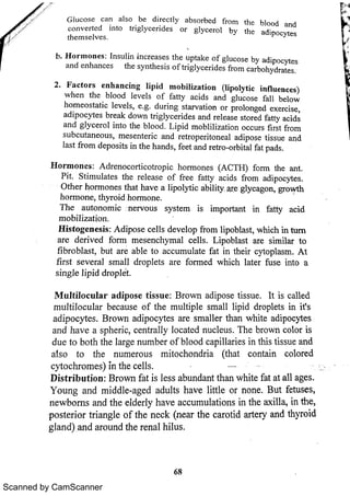 Scanned by CamScanner 
 