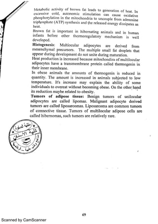 Scanned by CamScanner 
 