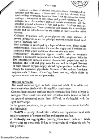 Scanned by CamScanner 
 