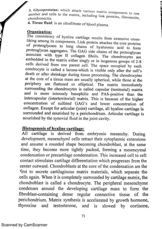 Scanned by CamScanner 
 