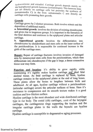 Scanned by CamScanner 
 