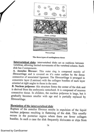 Scanned by CamScanner 
 