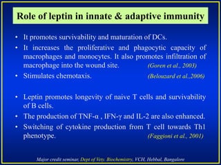 Major credit seminar, Dept of Vety. Biochemistry, VCH, Hebbal, Bangalore
• It promotes survivability and maturation of DCs.
• It increases the proliferative and phagocytic capacity of
macrophages and monocytes. It also promotes infiltration of
macrophage into the wound site. (Goren et al., 2003)
• Stimulates chemotaxis. (Belouzard et al.,2006)
• Leptin promotes longevity of naive T cells and survivability
of B cells.
• The production of TNF-α , IFN-γ and IL-2 are also enhanced.
• Switching of cytokine production from T cell towards Th1
phenotype. (Faggioni et al., 2001)
Role of leptin in innate & adaptive immunity
 