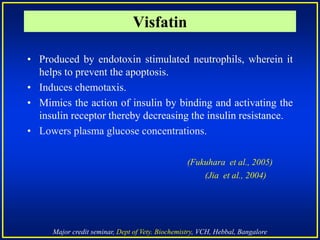 Major credit seminar, Dept of Vety. Biochemistry, VCH, Hebbal, Bangalore
Visfatin
• Produced by endotoxin stimulated neutrophils, wherein it
helps to prevent the apoptosis.
• Induces chemotaxis.
• Mimics the action of insulin by binding and activating the
insulin receptor thereby decreasing the insulin resistance.
• Lowers plasma glucose concentrations.
(Fukuhara et al., 2005)
(Jia et al., 2004)
 