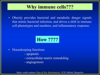 Major credit seminar, Dept of Vety. Biochemistry, VCH, Hebbal, Bangalore
Why immune cells???
• Obesity provides bacterial and metabolic danger signals
that mimic bacterial infection, and drives a shift in immune
cell phenotypes and numbers, and inflammatory response.
• Housekeeping functions
How ????
- apoptotis
- extracellular matrix remodeling
- angiogenesis
 