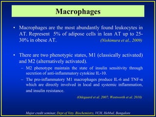 Major credit seminar, Dept of Vety. Biochemistry, VCH, Hebbal, Bangalore
• Macrophages are the most abundantly found leukocytes in
AT. Represent 5% of adipose cells in lean AT up to 25-
30% in obese AT. (Nishimura et al., 2009)
• There are two phenotypic states, M1 (classically activated)
and M2 (alternatively activated).
– M2 phenotype maintain the state of insulin sensitivity through
secretion of anti-inflammatory cytokine IL-10.
– The pro-inflammatory M1 macrophages produce IL-6 and TNF-α
which are directly involved in local and systemic inflammation,
and insulin resistance.
(Odegaard et al. 2007; Wentworth et al. 2010)
Macrophages
 