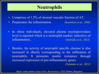 Major credit seminar, Dept of Vety. Biochemistry, VCH, Hebbal, Bangalore
• Comprises of 1.5% of stromal vascular fraction of AT.
• Perpetuates the inflammation. (Soehnlein et al., 2009)
• In obese individuals, elevated plasma myeloperoxidase
level is reported which is a neutrophil marker; indicative of
inflammation. (Andrade et al., 2012)
• Besides, the activity of neutrophil specific elastase is also
increased in obesity corresponding to the infiltration of
neutrophils. It promotes insulin resistance through
increased expression of pro-inflammatory genes.
(Talukdar et al., 2012)
Neutrophils
 