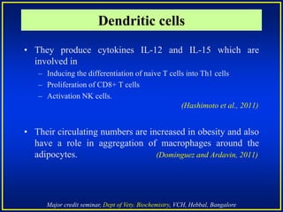 Major credit seminar, Dept of Vety. Biochemistry, VCH, Hebbal, Bangalore
• They produce cytokines IL-12 and IL-15 which are
involved in
– Inducing the differentiation of naive T cells into Th1 cells
– Proliferation of CD8+ T cells
– Activation NK cells.
(Hashimoto et al., 2011)
• Their circulating numbers are increased in obesity and also
have a role in aggregation of macrophages around the
adipocytes. (Dominguez and Ardavin, 2011)
Dendritic cells
 