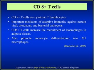 Major credit seminar, Dept of Vety. Biochemistry, VCH, Hebbal, Bangalore
• CD 8+ T cells are cytotoxic T lymphocytes.
• Important mediators of adaptive immunity against certain
viral, protozoan, and bacterial pathogens.
• CD8+ T cells increase the recruitment of macrophages to
adipose tissues.
• Also promote monocyte differentiation into M1
macrophages.
(Rausch et al., 2008)
CD 8+ T cells
 