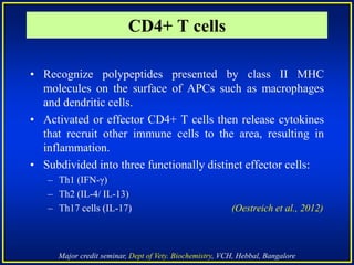 Major credit seminar, Dept of Vety. Biochemistry, VCH, Hebbal, Bangalore
• Recognize polypeptides presented by class II MHC
molecules on the surface of APCs such as macrophages
and dendritic cells.
• Activated or effector CD4+ T cells then release cytokines
that recruit other immune cells to the area, resulting in
inflammation.
• Subdivided into three functionally distinct effector cells:
– Th1 (IFN-γ)
– Th2 (IL-4/ IL-13)
– Th17 cells (IL-17) (Oestreich et al., 2012)
CD4+ T cells
 