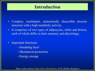 Major credit seminar, Dept of Vety. Biochemistry, VCH, Hebbal, Bangalore
Introduction
• Complex, multidepot, anatomically dissectible discrete
structure with a high metabolic activity.
• It comprises of two types of adipocytes, white and brown,
each of which differ in their anatomy and physiology.
• Important functions:
- Insulating layer
- Mechanical protection
- Energy storage
 