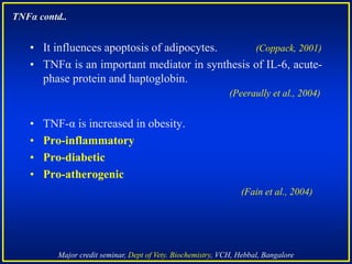 Major credit seminar, Dept of Vety. Biochemistry, VCH, Hebbal, Bangalore
• It influences apoptosis of adipocytes. (Coppack, 2001)
• TNFα is an important mediator in synthesis of IL-6, acute-
phase protein and haptoglobin.
(Peeraully et al., 2004)
• TNF-α is increased in obesity.
• Pro-inflammatory
• Pro-diabetic
• Pro-atherogenic
(Fain et al., 2004)
TNFα contd..
 