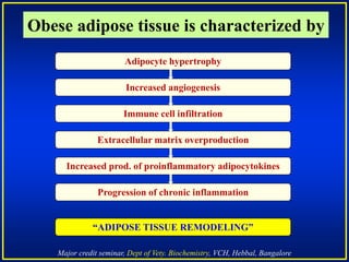 Major credit seminar, Dept of Vety. Biochemistry, VCH, Hebbal, Bangalore
Obese adipose tissue is characterized by
Adipocyte hypertrophy
“ADIPOSE TISSUE REMODELING”
Progression of chronic inflammation
Extracellular matrix overproduction
Increased prod. of proinflammatory adipocytokines
Increased angiogenesis
Immune cell infiltration
 