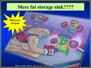 Major credit seminar, Dept of Vety. Biochemistry, VCH, Hebbal, Bangalore
Mere fat storage sink????
Discovery
of leptin
 