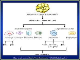 Major credit seminar, Dept of Vety. Biochemistry, VCH, Hebbal, Bangalore
 